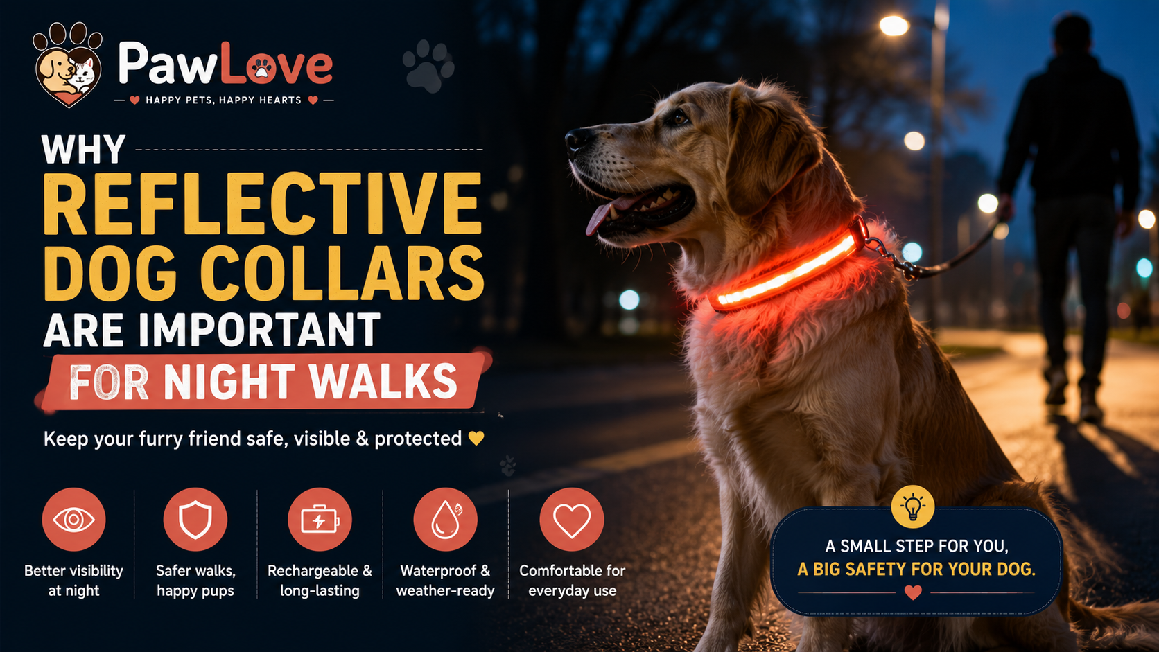 Why LED Dog Collars Are Essential for Night Walk Safety