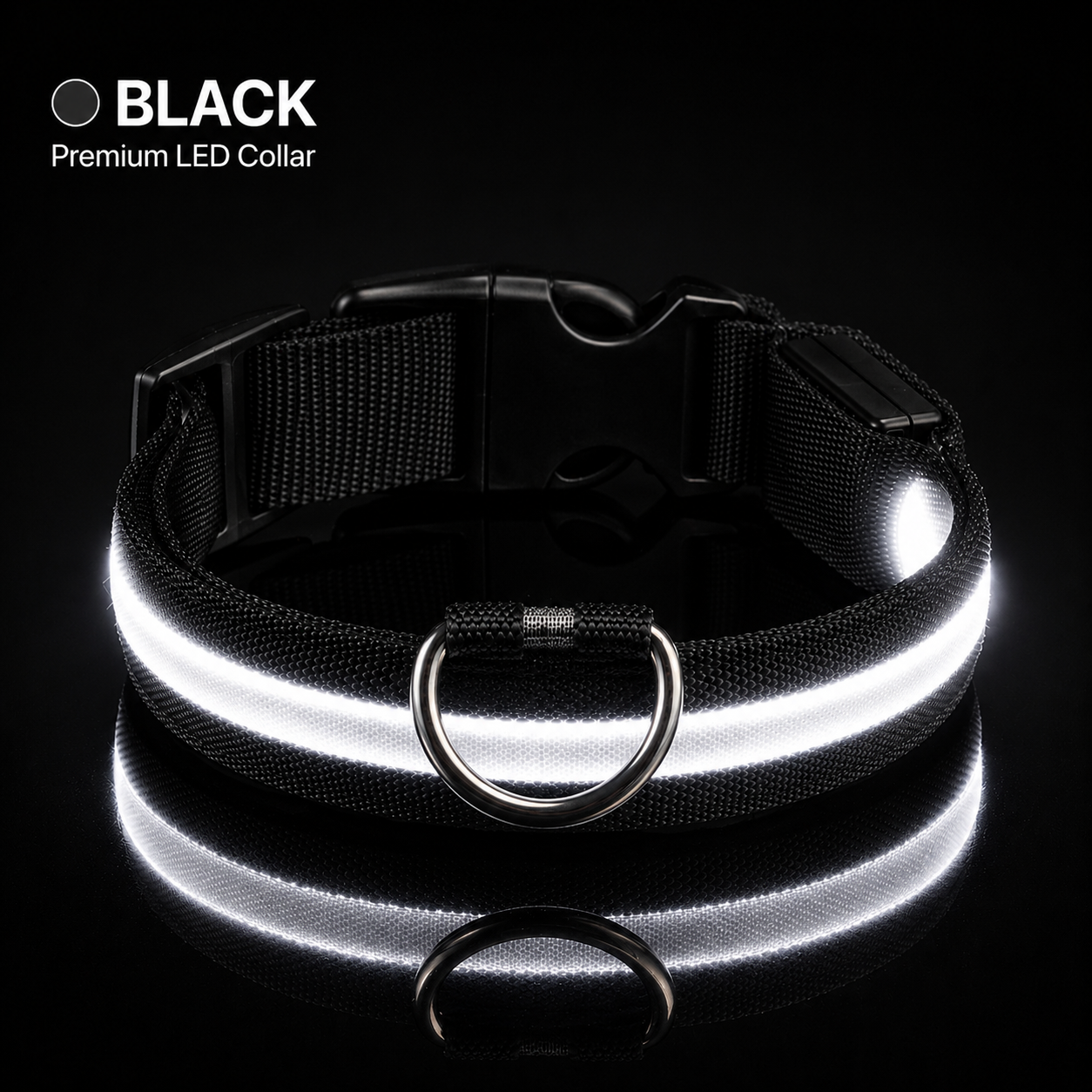 Black LED dog collar on a black background