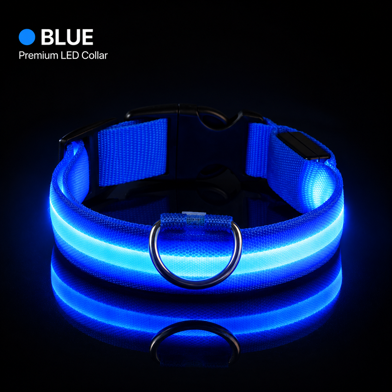 Blue LED dog collar on a black background