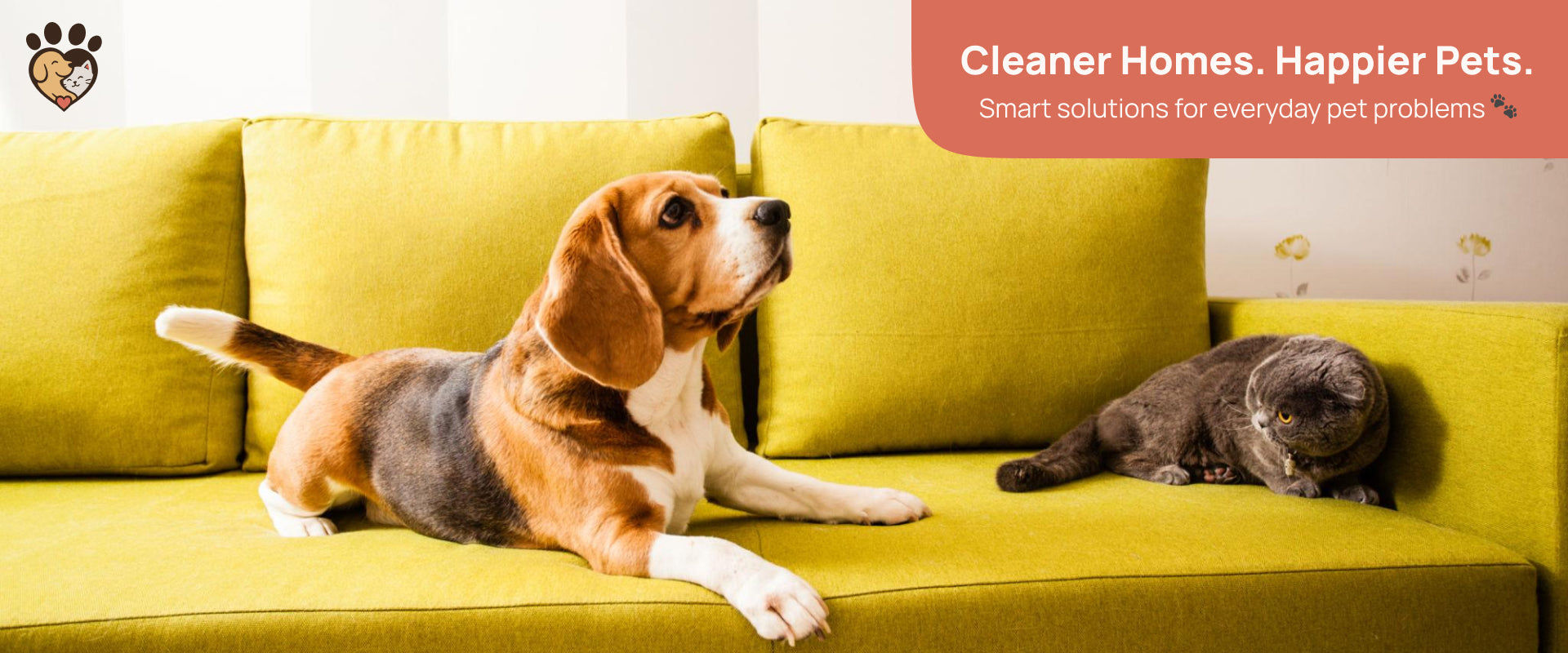 happy dog and cat sitting together in a clean modern home with pet owner
