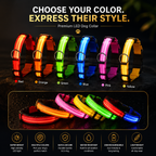 Set of colorful LED dog collars with various features highlighted on a dark background.