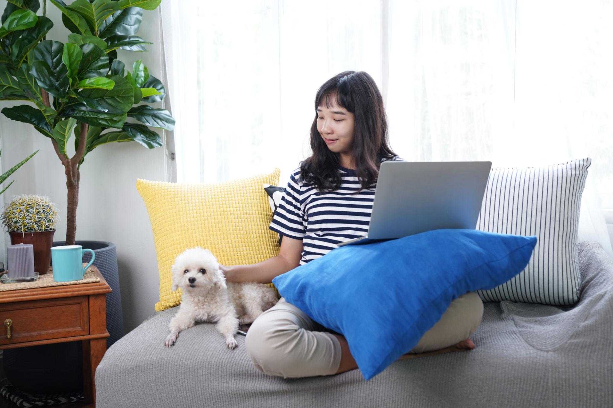 Woman sitting on a couch with a laptop and a small dog, using a blue pillow for support.