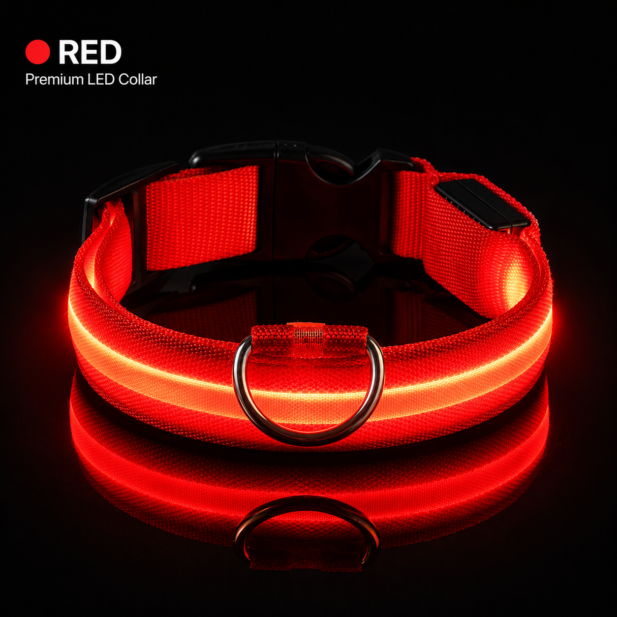 Red LED dog collar on a black background with 'RED' brand logo.