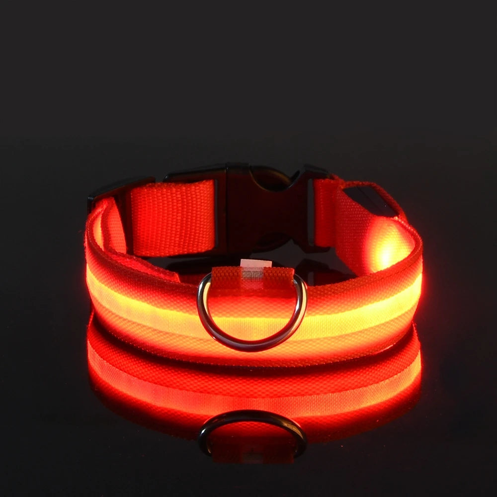 Red LED dog collar on a black background