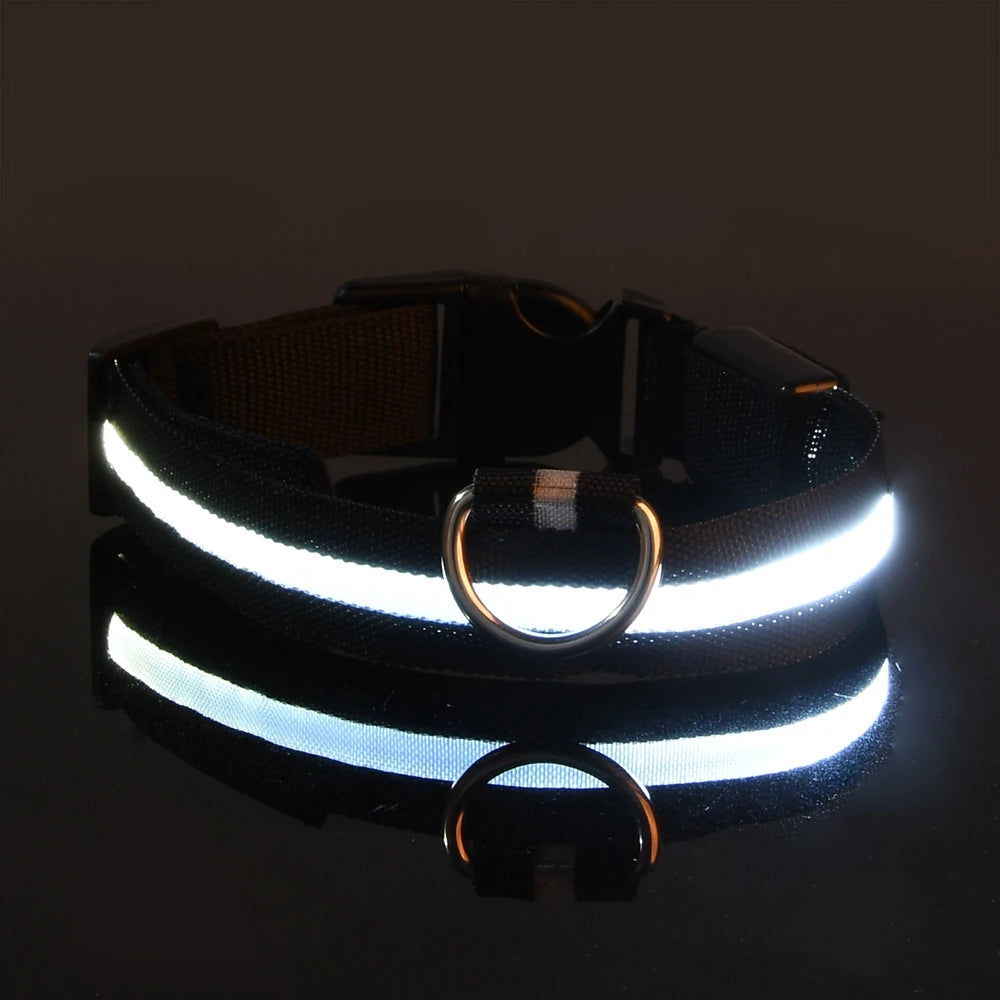 Reflective dog collar with LED lights on a black background