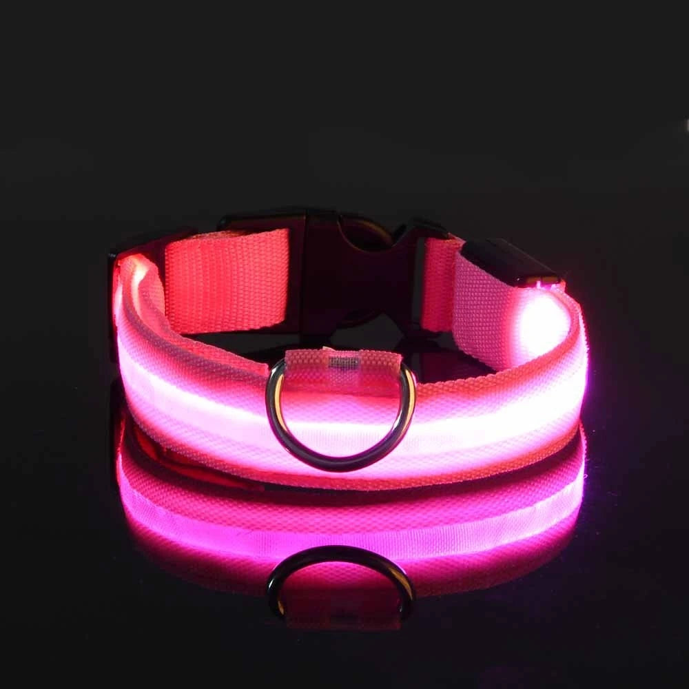 Pink LED dog collar on a black background
