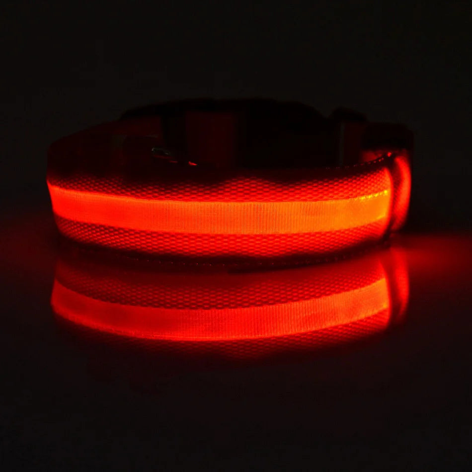 Red LED dog collar on a black background